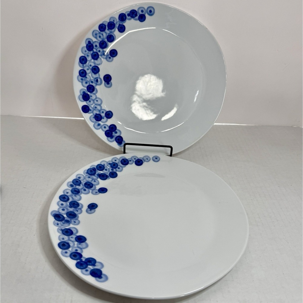 Crate & Barrel by Rika‎ SALAD PLATE 8 3/4" Dia. - Blue & White Design Set Of 2
